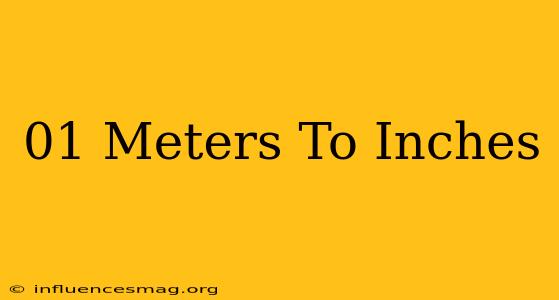 .01 Meters To Inches