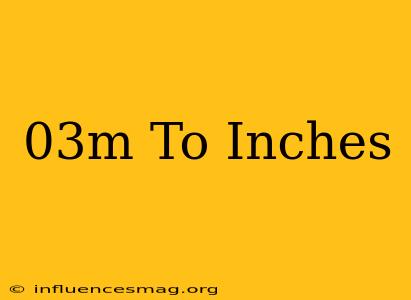 .03m To Inches