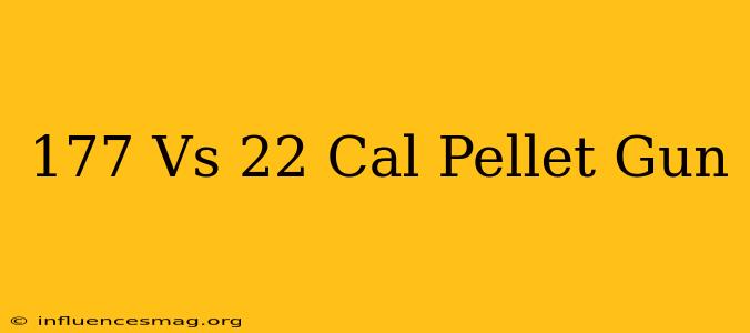 .177 Vs .22 Cal Pellet Gun