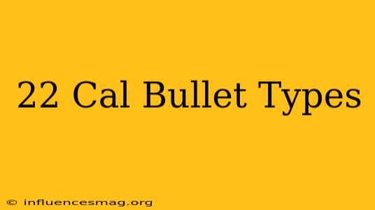 .22 Cal Bullet Types