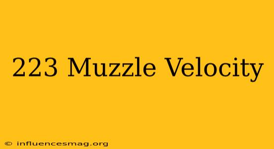 .223 Muzzle Velocity