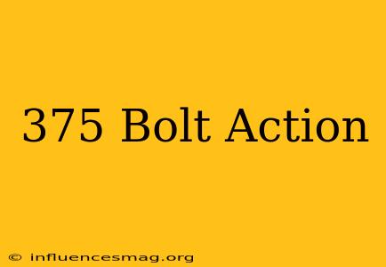.375 Bolt Action