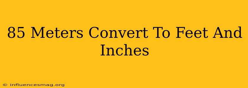 .85 Meters Convert To Feet And Inches