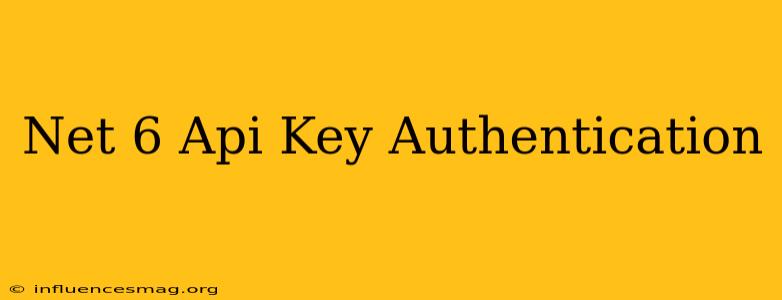 .net 6 Api Key Authentication