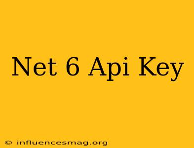 .net 6 Api Key