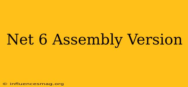 .net 6 Assembly Version