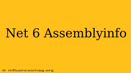 .net 6 Assemblyinfo