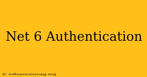 .net 6 Authentication