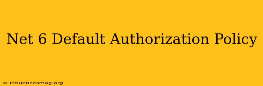 .net 6 Default Authorization Policy