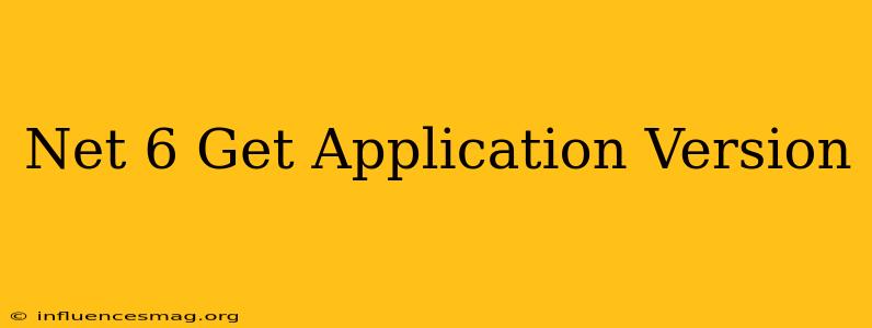 .net 6 Get Application Version
