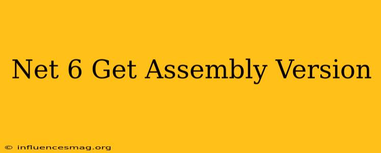 .net 6 Get Assembly Version