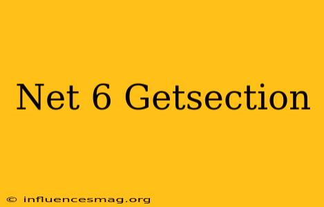 .net 6 Getsection