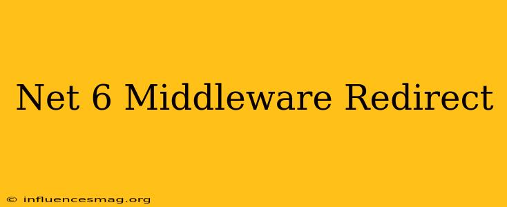 .net 6 Middleware Redirect