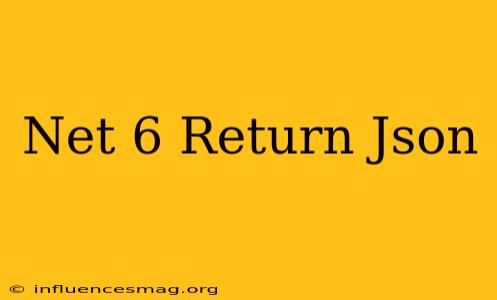 .net 6 Return Json