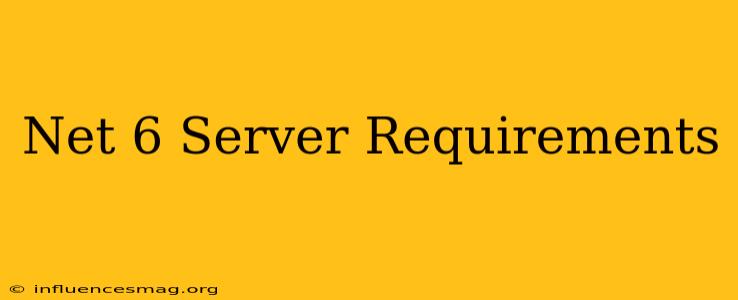 .net 6 Server Requirements