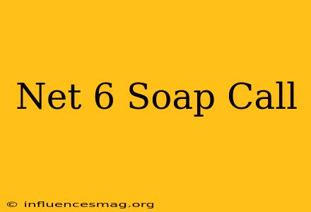 .net 6 Soap Call