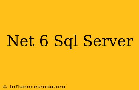 .net 6 Sql Server