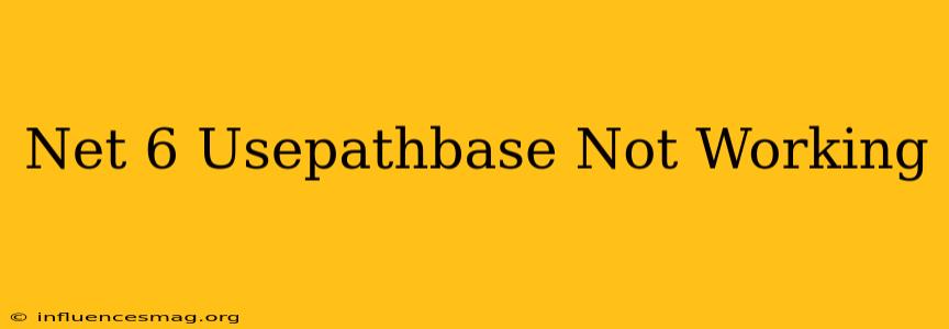 .net 6 Usepathbase Not Working