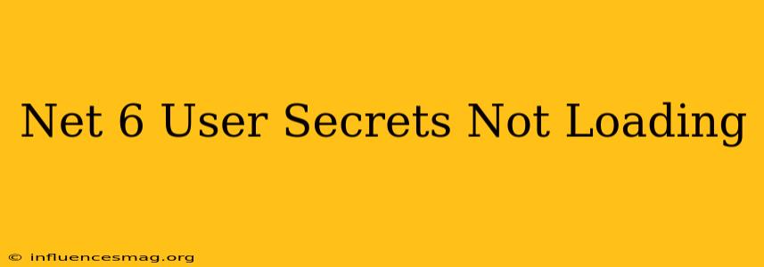 .net 6 User Secrets Not Loading