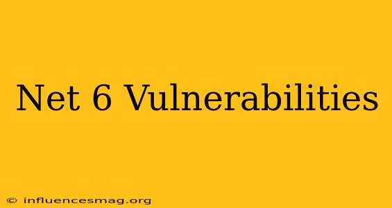 .net 6 Vulnerabilities