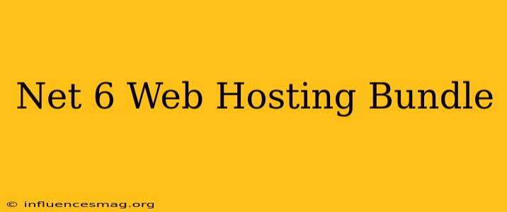 .net 6 Web Hosting Bundle