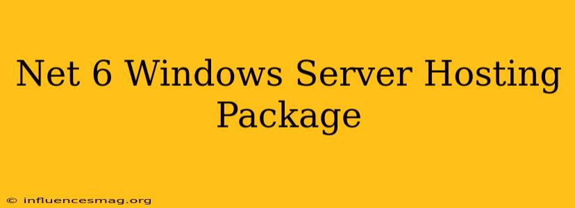 .net 6 Windows Server Hosting Package