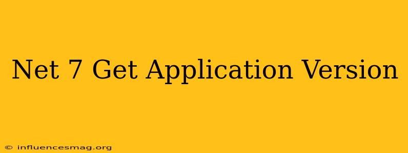 .net 7 Get Application Version
