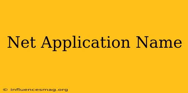.net Application Name