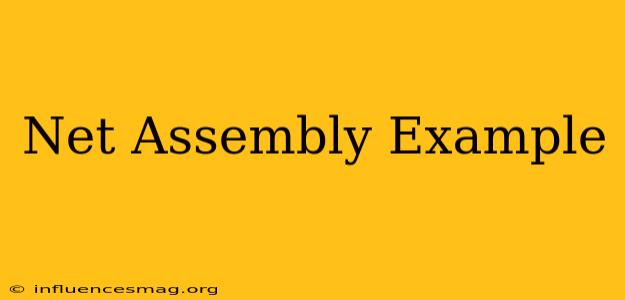 .net Assembly Example