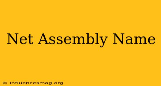 .net Assembly Name