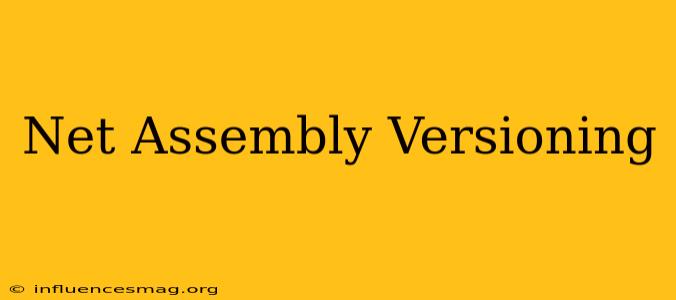 .net Assembly Versioning