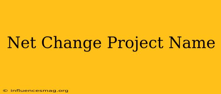 .net Change Project Name