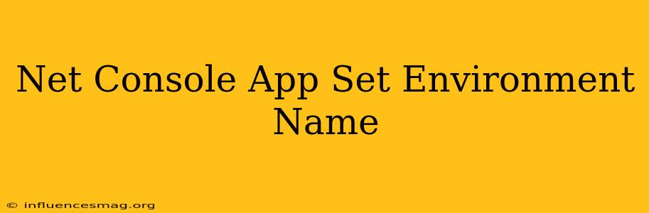 .net Console App Set Environment Name