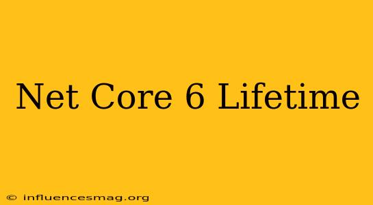 .net Core 6 Lifetime