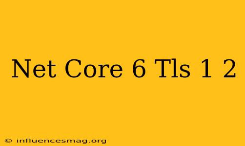 .net Core 6 Tls 1.2