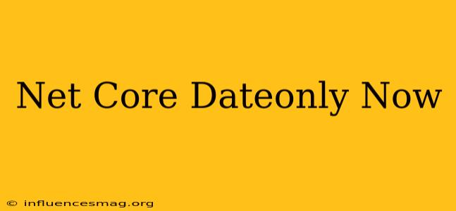 .net Core Dateonly Now