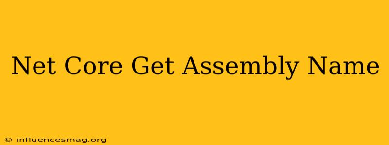 .net Core Get Assembly Name