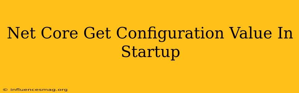 .net Core Get Configuration Value In Startup