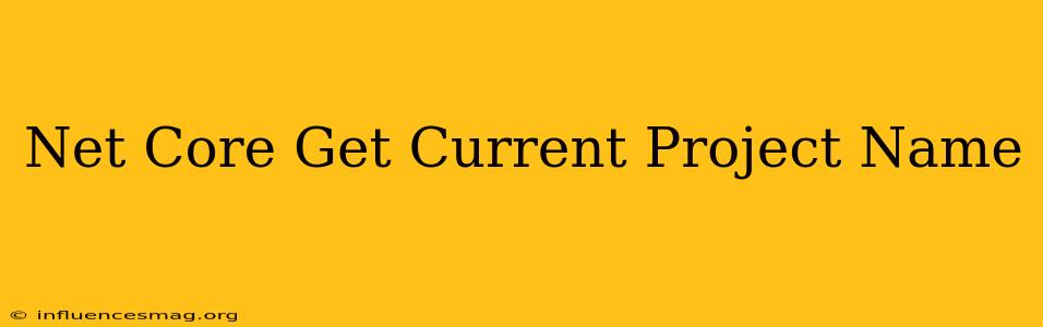 .net Core Get Current Project Name