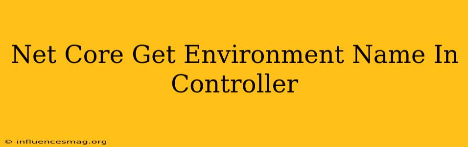 .net Core Get Environment Name In Controller