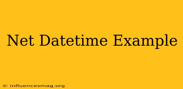 .net Datetime Example