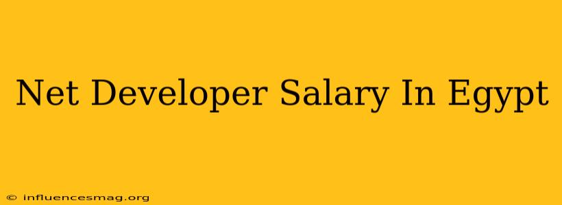 .net Developer Salary In Egypt