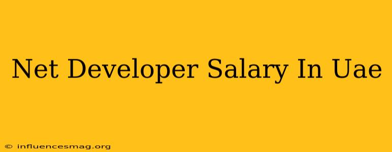 .net Developer Salary In Uae