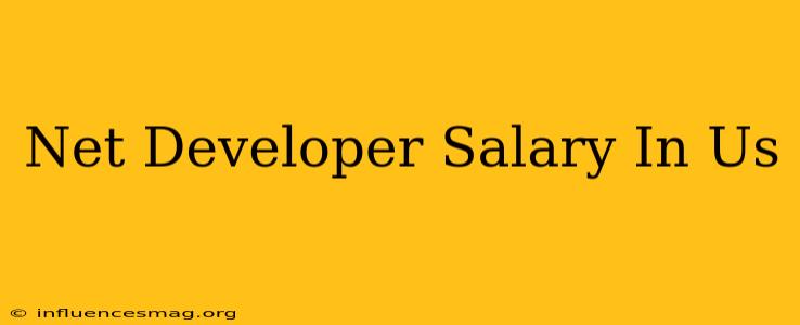 .net Developer Salary In Us
