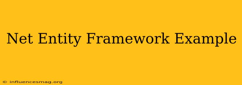 .net Entity Framework Example