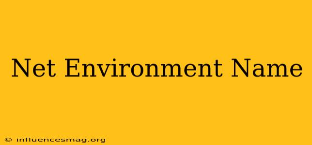 .net Environment Name