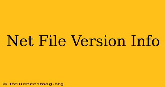 .net File Version Info