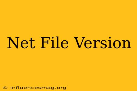 .net File Version