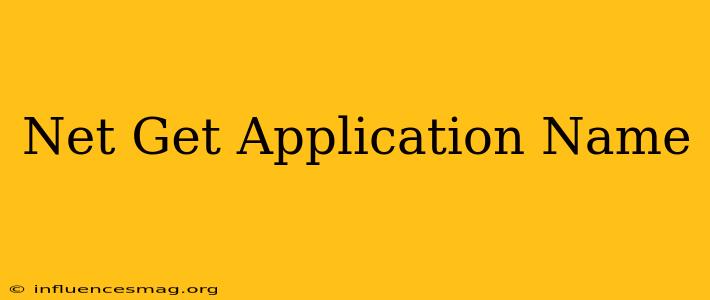 .net Get Application Name