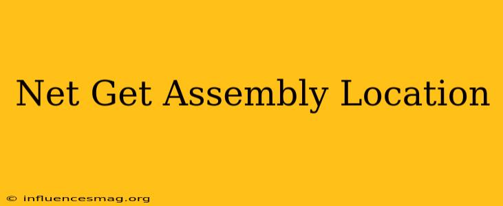 .net Get Assembly Location